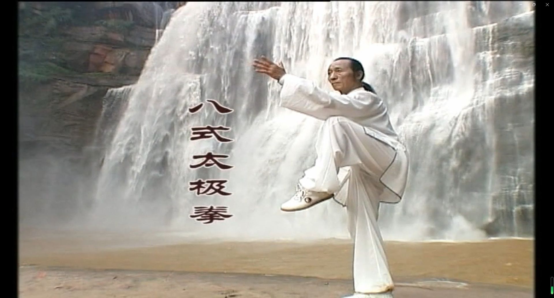 八式太极拳